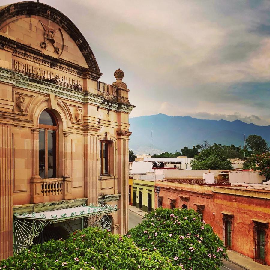 Beautiful Apartment In Oaxaca City'S Best Location Extérieur photo