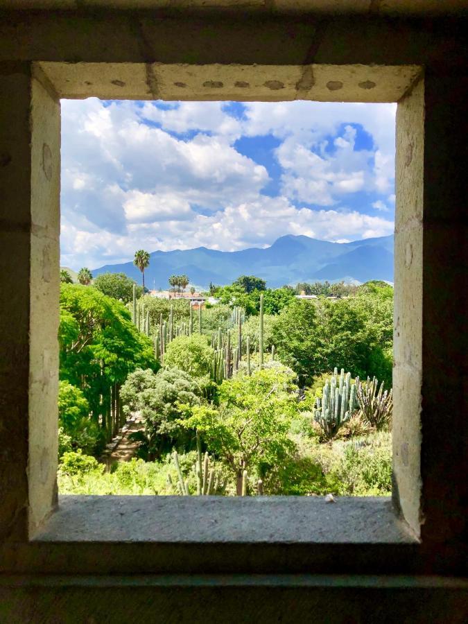 Beautiful Apartment In Oaxaca City'S Best Location Extérieur photo