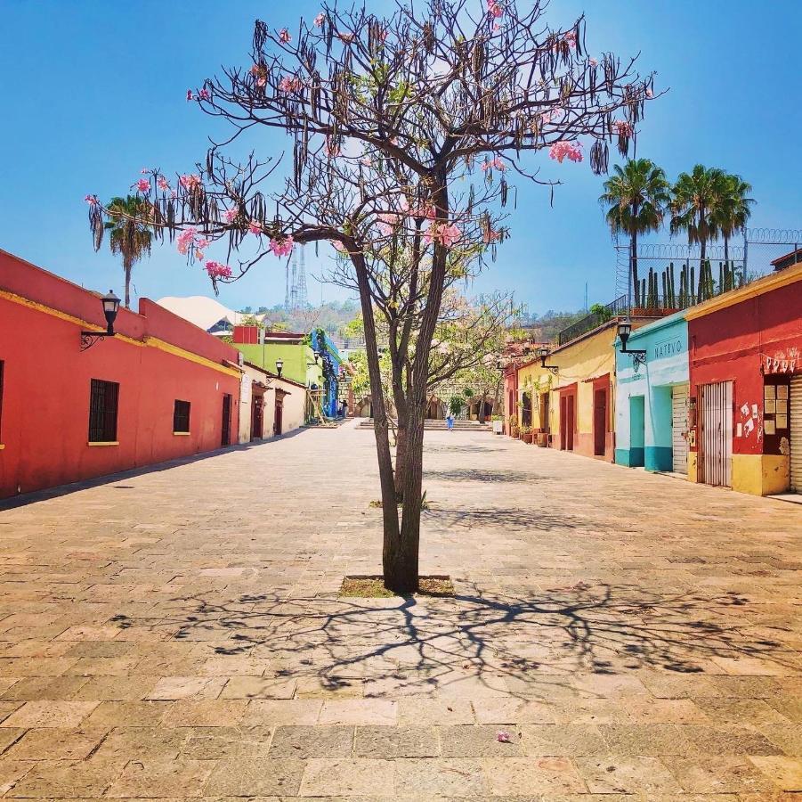 Beautiful Apartment In Oaxaca City'S Best Location Extérieur photo