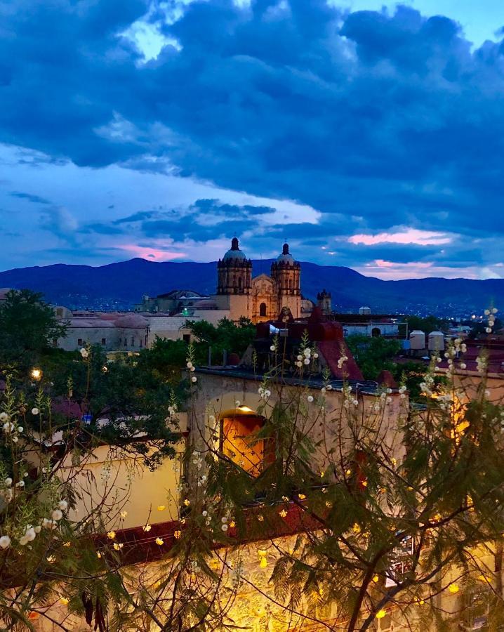 Beautiful Apartment In Oaxaca City'S Best Location Extérieur photo