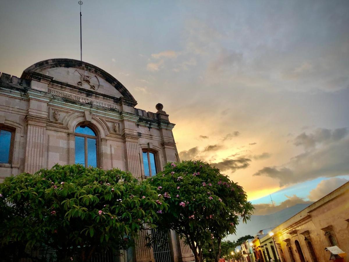 Beautiful Apartment In Oaxaca City'S Best Location Extérieur photo