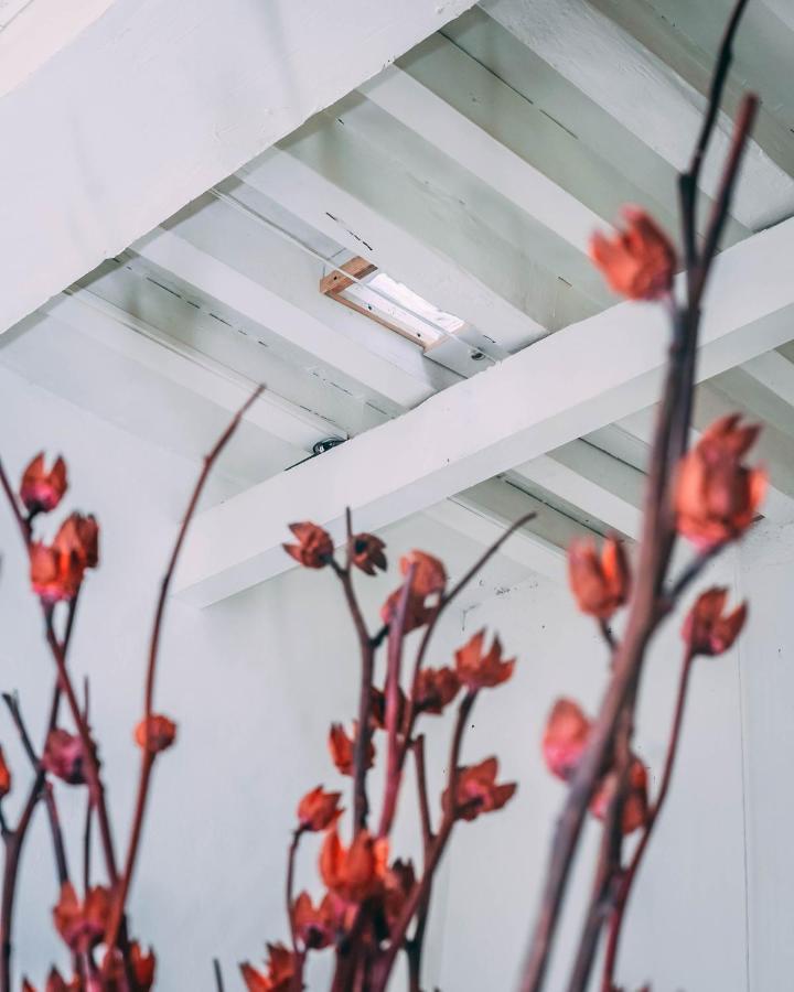 Beautiful Apartment In Oaxaca City'S Best Location Extérieur photo