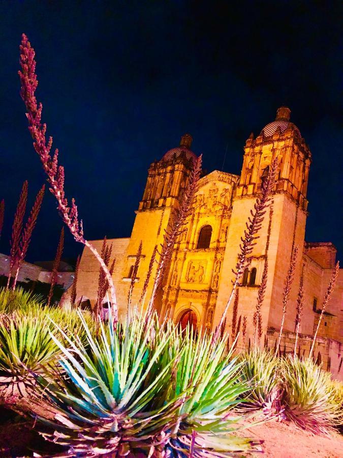 Beautiful Apartment In Oaxaca City'S Best Location Extérieur photo